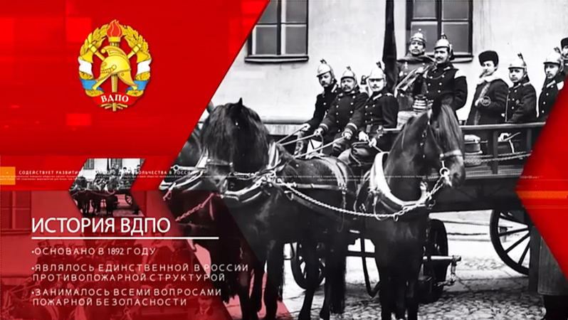 История ВДПО История ВДПО